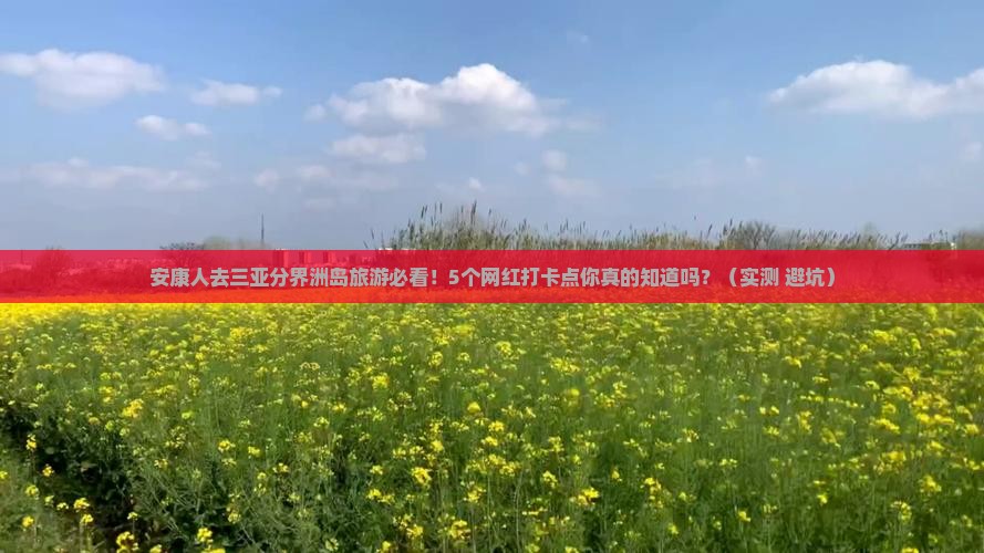 安康去三亚分界洲岛旅游网红地点