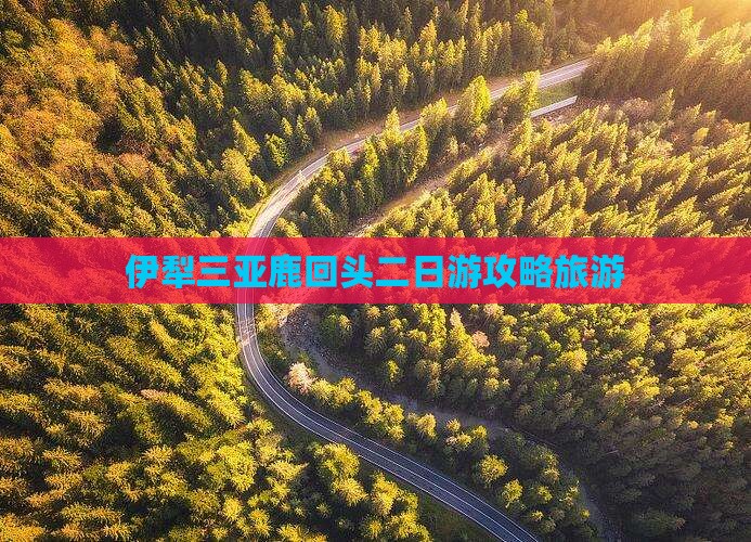 伊犁去三亚鹿回头二日游