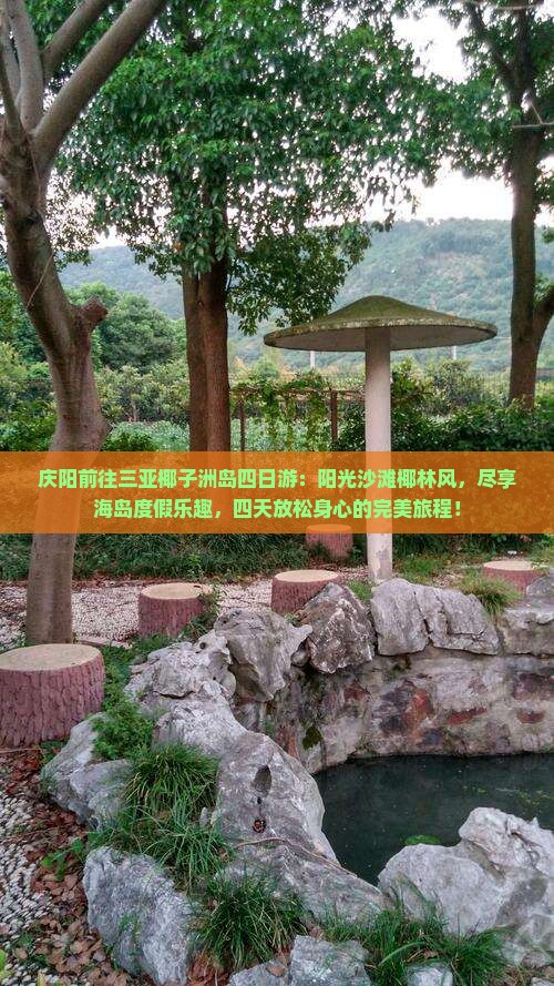 庆阳前往三亚椰子洲岛四日游