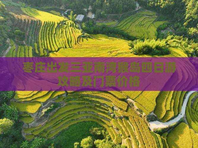 枣庄出发三亚南湾猴岛四日游