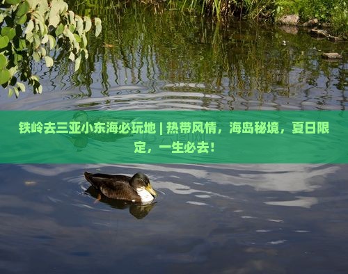 铁岭去三亚小东海必玩地