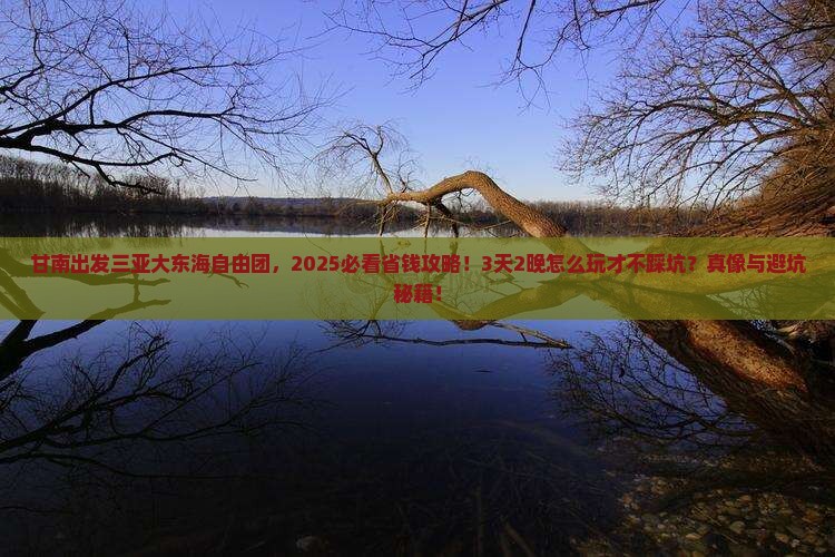 甘南出发三亚大东海自由团