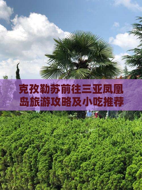 克孜勒苏柯尔克孜前往三亚凤凰岛旅游小吃