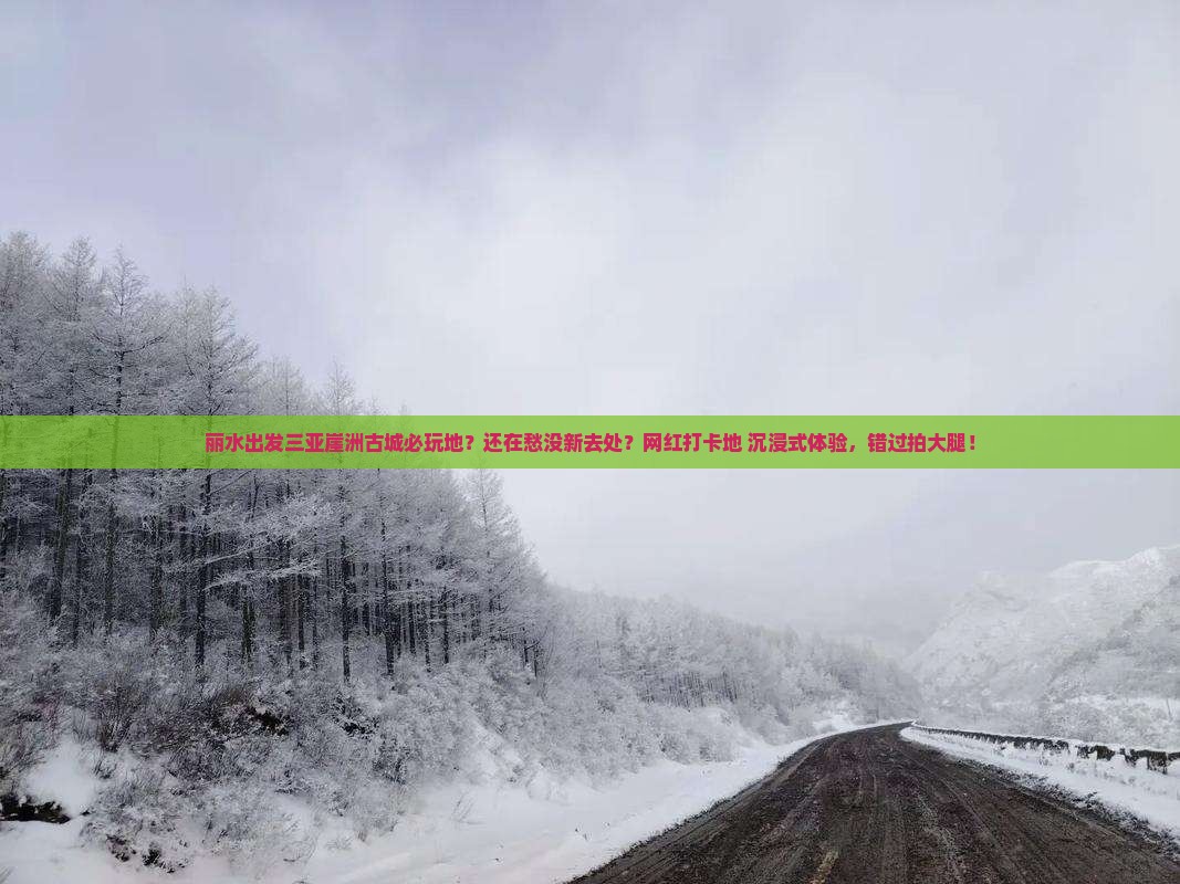 丽水出发三亚崖洲古城必玩地
