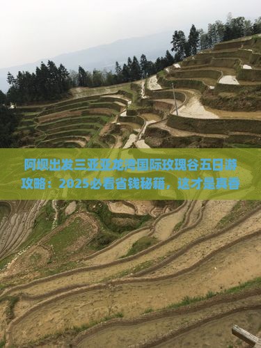 阿坝出发三亚亚龙湾国际玫瑰谷五日游
