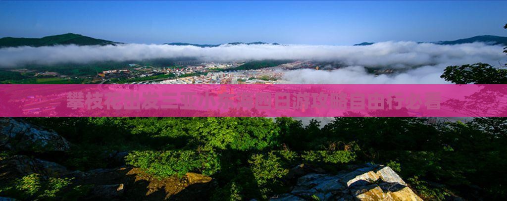 攀枝花出发三亚小东海四日游