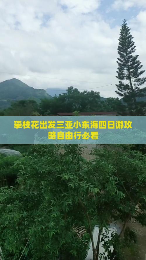 攀枝花出发三亚小东海四日游