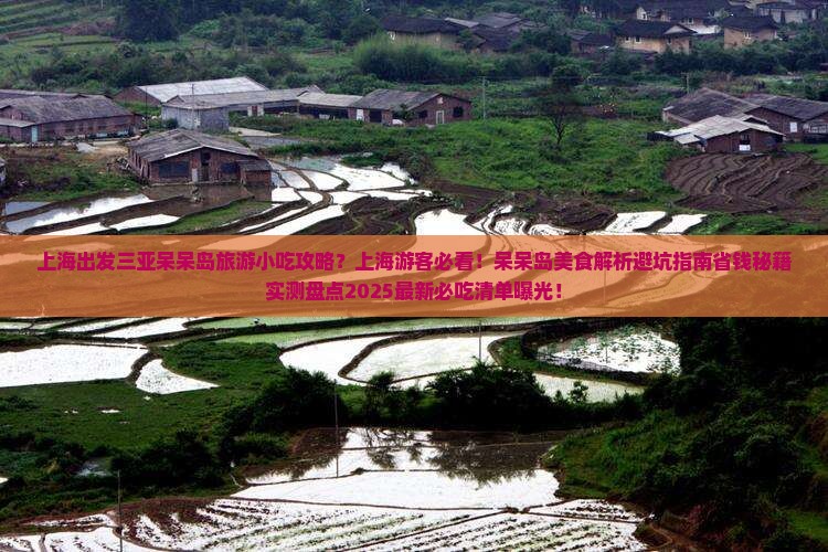 上海出发三亚呆呆岛旅游小吃