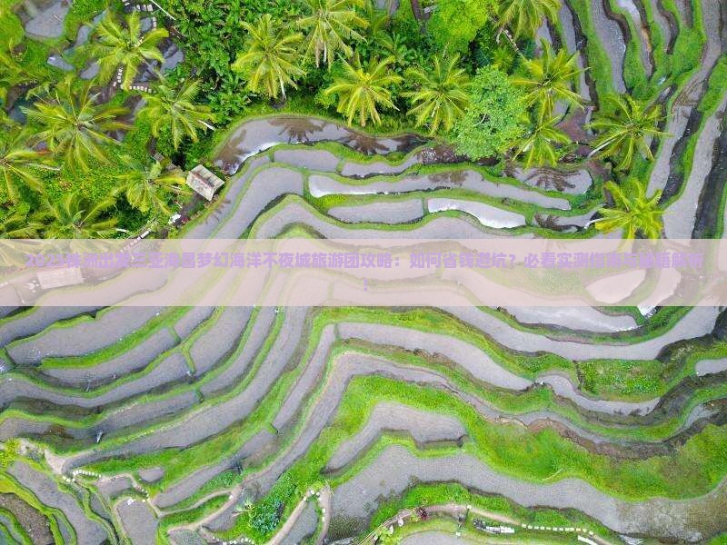 株洲前往三亚海昌梦幻海洋不夜城大型旅游团