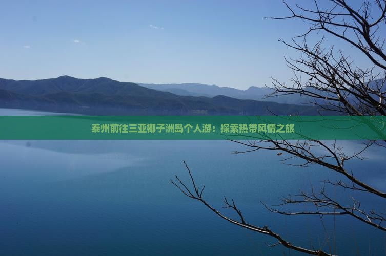 泰州前往三亚椰子洲岛个人游：探索热带风情之旅