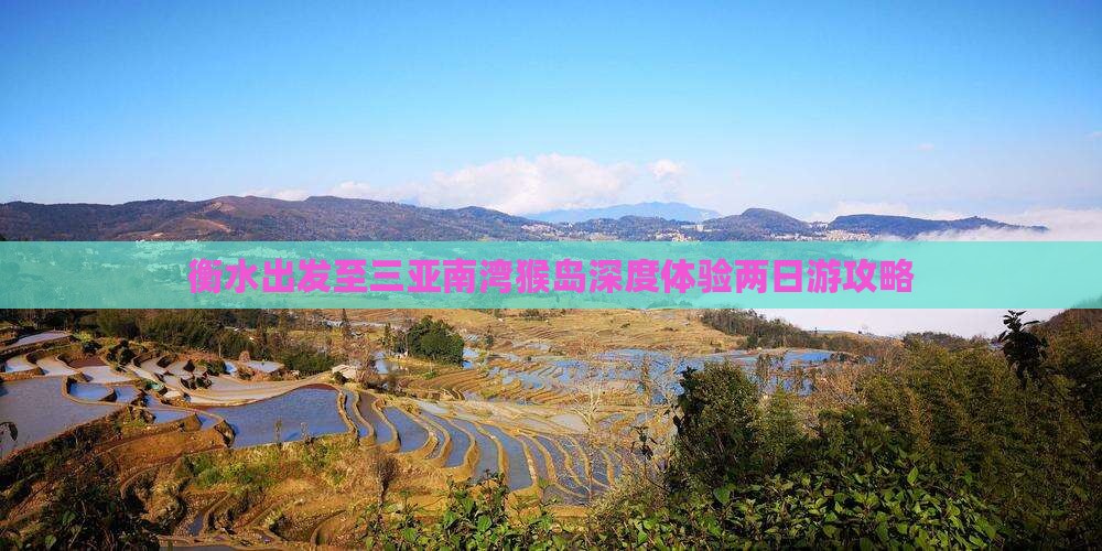 衡水出发至三亚南湾猴岛深度体验两日游攻略