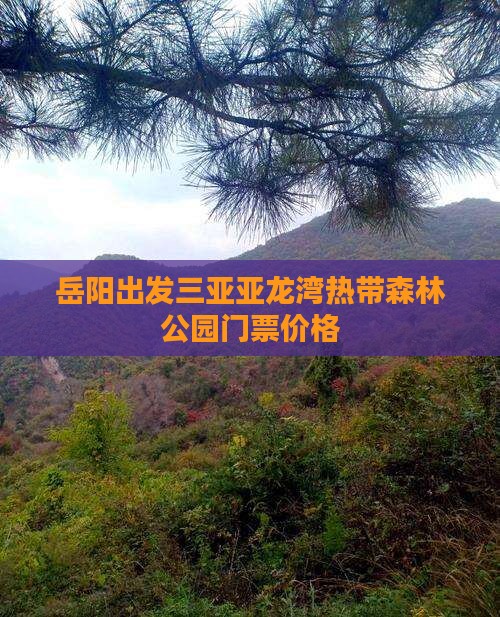 岳阳出发三亚亚龙湾热带森林公园门票价格