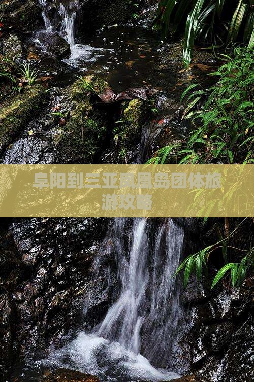 阜阳到三亚凤凰岛团体旅游攻略
