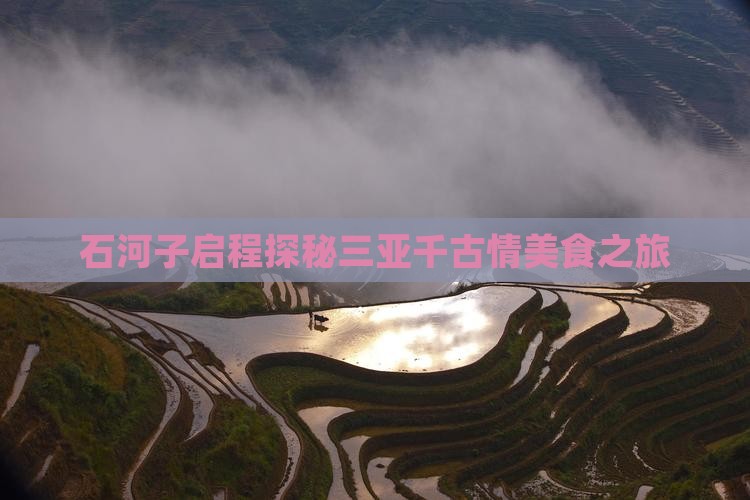 石河子启程探秘三亚千古情美食之旅