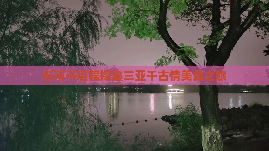石河子启程探秘三亚千古情美食之旅
