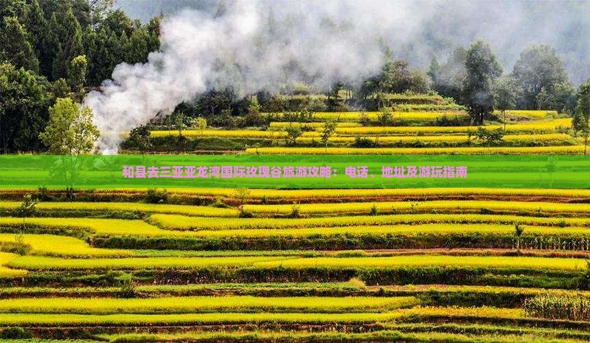 和县去三亚亚龙湾国际玫瑰谷旅游攻略：电话、地址及游玩指南