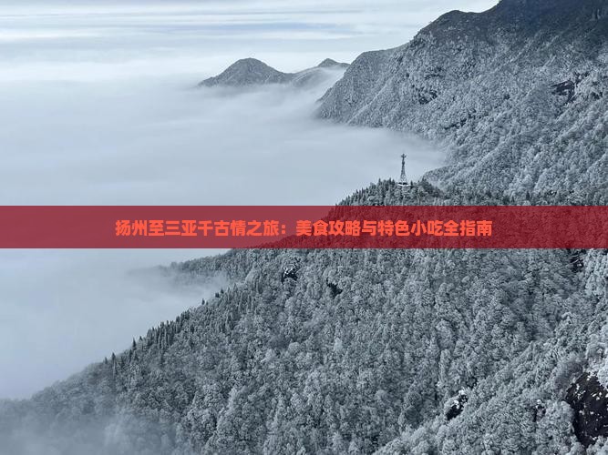扬州至三亚千古情之旅：美食攻略与特色小吃全指南