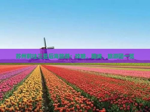 苏州前往三亚后海旅游：攻略、路线、旅游团一览