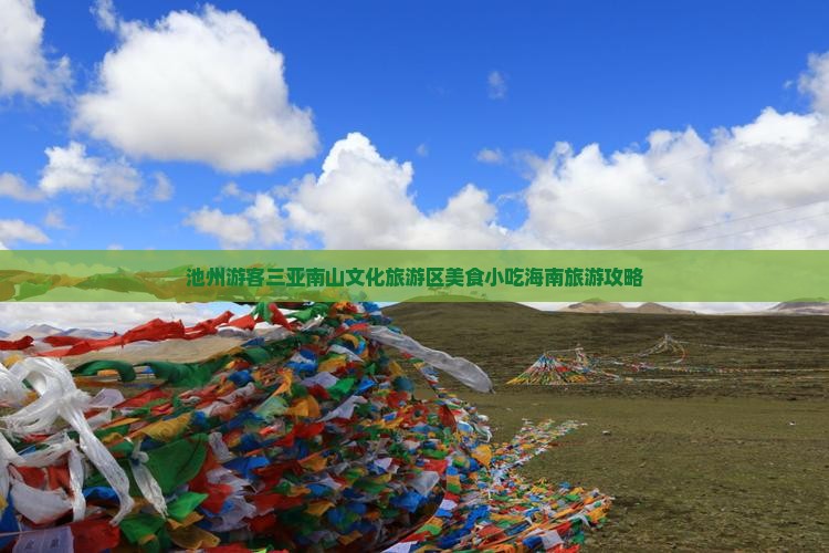 池州游客三亚南山文化旅游区美食小吃海南旅游攻略