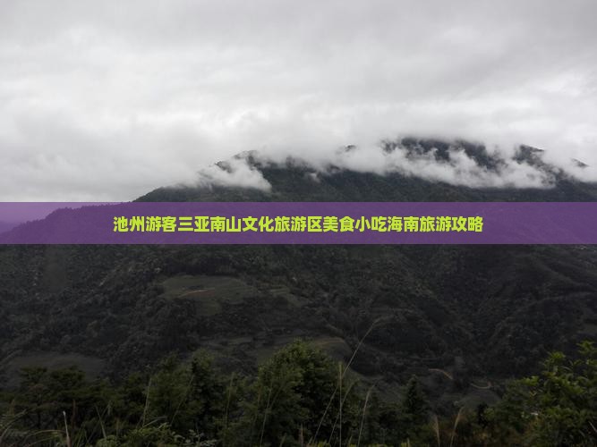池州游客三亚南山文化旅游区美食小吃海南旅游攻略
