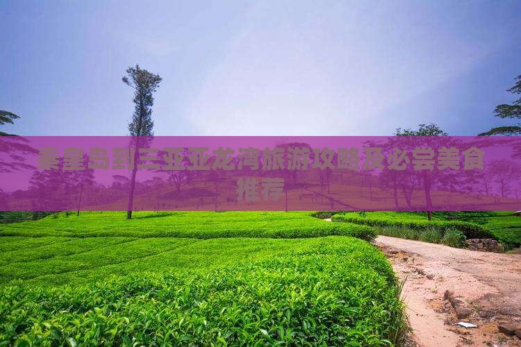 秦皇岛到三亚亚龙湾旅游攻略及必尝美食推荐
