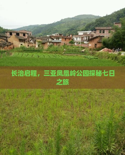 长治启程，三亚凤凰岭公园探秘七日之旅