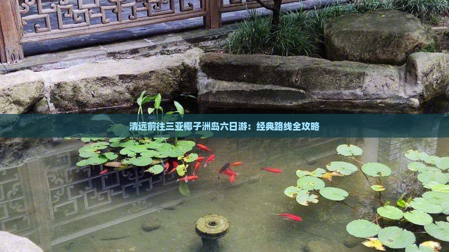 清远前往三亚椰子洲岛六日游：经典路线全攻略