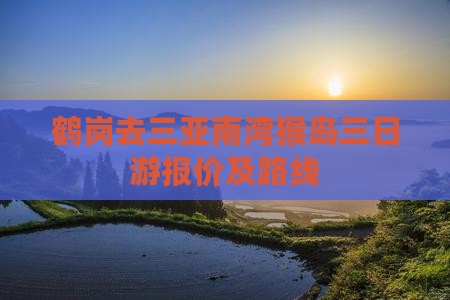 鹤岗去三亚南湾猴岛三日游报价及路线