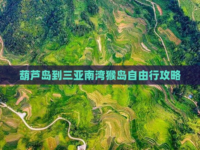 葫芦岛到三亚南湾猴岛自由行攻略