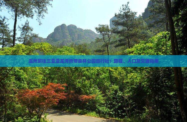 温州前往三亚亚龙湾热带森林公园旅行社：路程、入口及交通指南