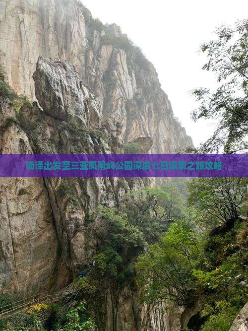菏泽出发至三亚凤凰岭公园深度七日探索之旅攻略