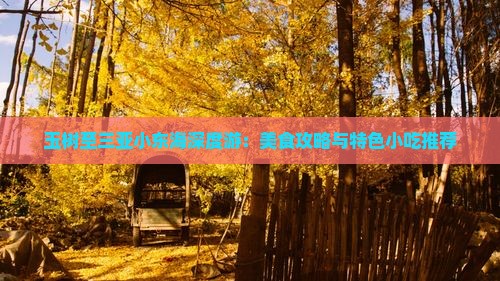 玉树至三亚小东海深度游：美食攻略与特色小吃推荐