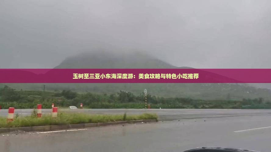 玉树至三亚小东海深度游：美食攻略与特色小吃推荐