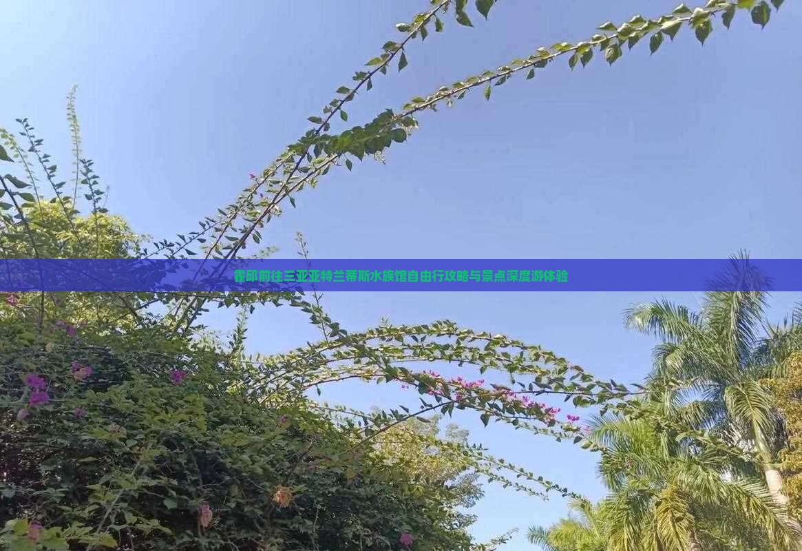 霍邱前往三亚亚特兰蒂斯水族馆自由行攻略与景点深度游体验