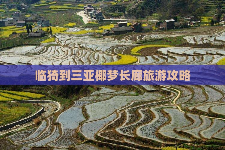 临猗到三亚椰梦长廊旅游攻略