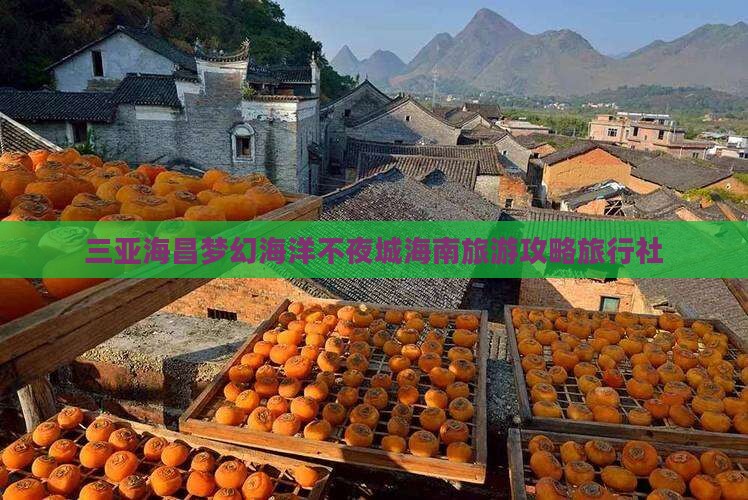 三亚海昌梦幻海洋不夜城海南旅游攻略旅行社