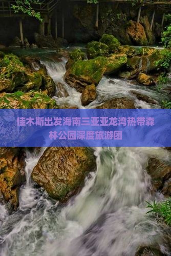 佳木斯出发海南三亚亚龙湾热带森林公园深度旅游团