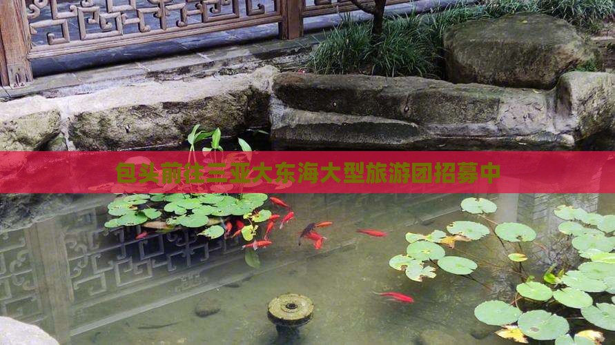 包头前往三亚大东海大型旅游团招募中