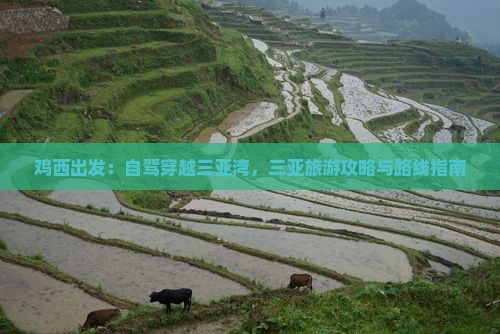 鸡西出发：自驾穿越三亚湾，三亚旅游攻略与路线指南