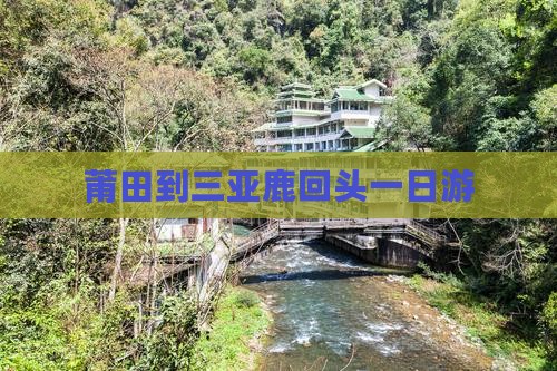 莆田到三亚鹿回头一日游