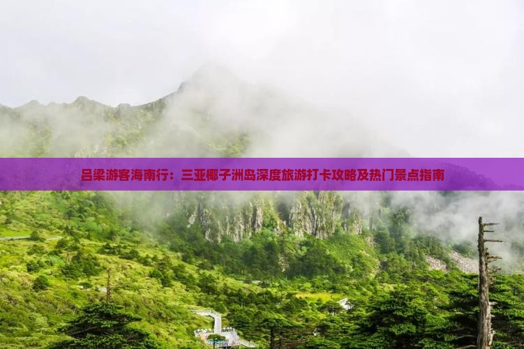 吕梁游客海南行：三亚椰子洲岛深度旅游打卡攻略及热门景点指南