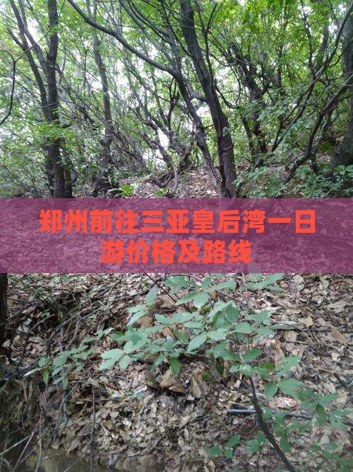郑州前往三亚皇后湾一日游价格及路线