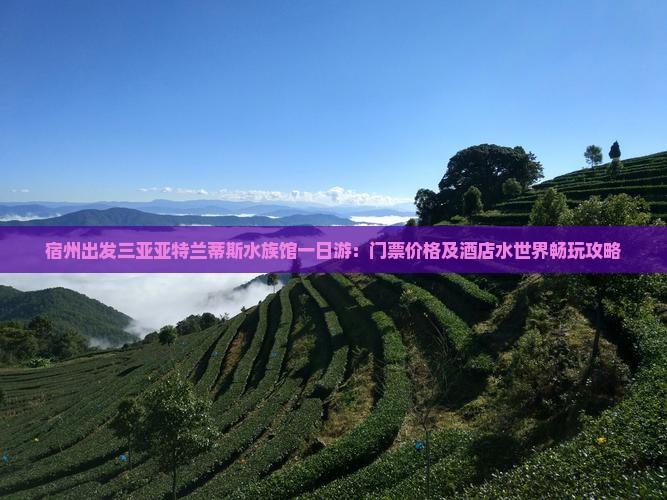 宿州出发三亚亚特兰蒂斯水族馆一日游：门票价格及酒店水世界畅玩攻略