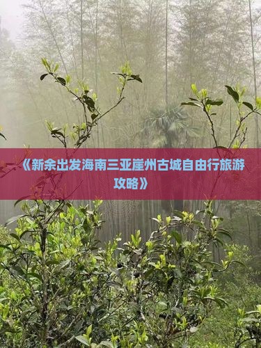 《新余出发海南三亚崖州古城自由行旅游攻略》