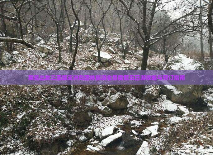 莱芜出发三亚蜈支洲岛团体旅游全景度假五日游攻略与预订指南