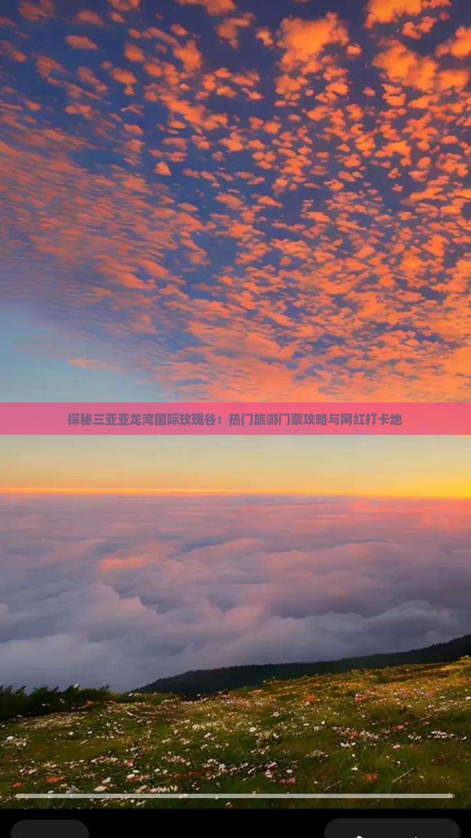 探秘三亚亚龙湾国际玫瑰谷：热门旅游门票攻略与网红打卡地