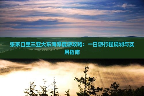 张家口至三亚大东海深度游攻略：一日游行程规划与实用指南