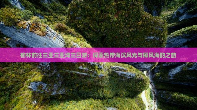 榆林前往三亚三亚湾三日游：探索热带海滨风光与椰风海韵之旅