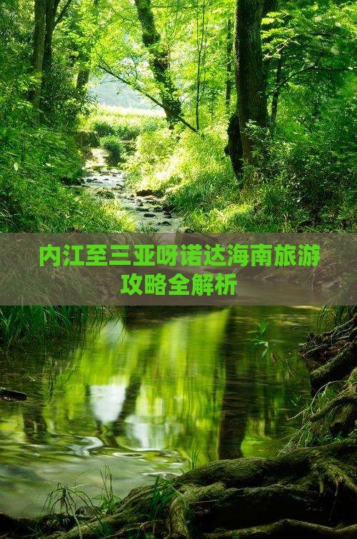 内江至三亚呀诺达海南旅游攻略全解析
