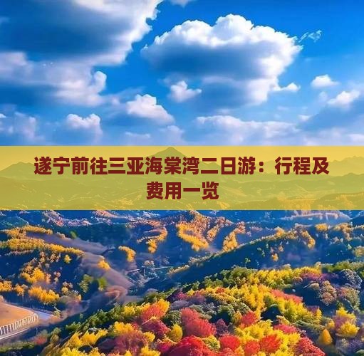 遂宁前往三亚海棠湾二日游：行程及费用一览